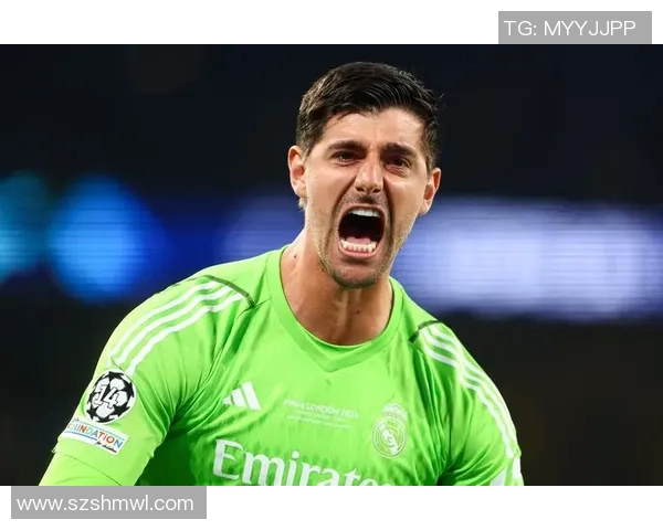 比利时足球明星盘点 谁是最具影响力的国家队代表人物