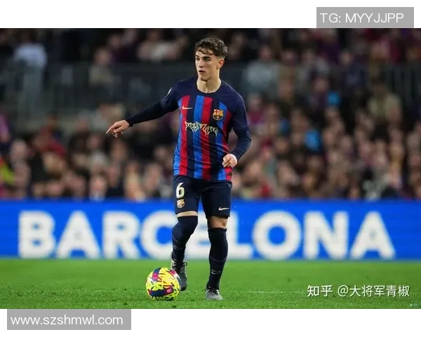 足球场上的球星类型解析 不同球员风格与特点全方位解读